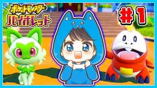 ちろぴのポケモンスカーレット・バイオレット実況#１🔵【ポケモンSV】