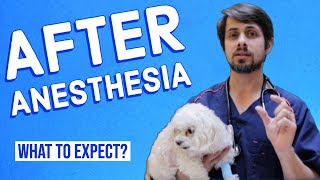 What to Expect After General Anesthesia