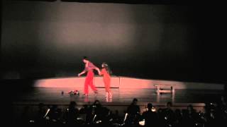 ELIZABETH STENHOLT Aida Enchantment Passing Through