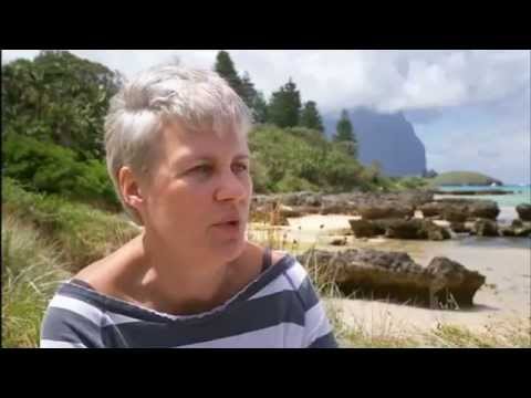 download lagu mp3 mp4 Remote Island Australia, download lagu Remote Island Australia gratis, unduh video klip Remote Island Australia