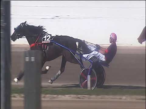 Trotto 20/10/2019 - 2ª corsa