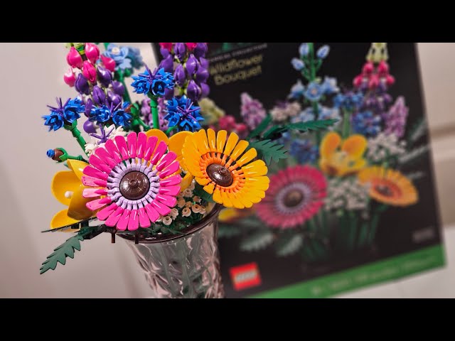 Vídeo relacionado con LEGO Botanicals Wildflower Bouquet Set - Artificial Flowers with Poppies and Lavender - Crafts Kit for Adults - Home Office Décor Gifts for Women and Men - 10313