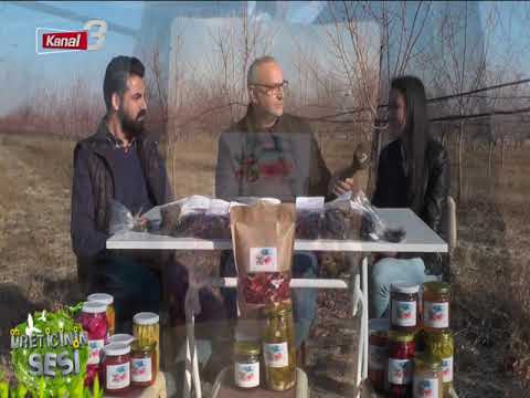 KANAL 3’TE SABAH 12 02 2019