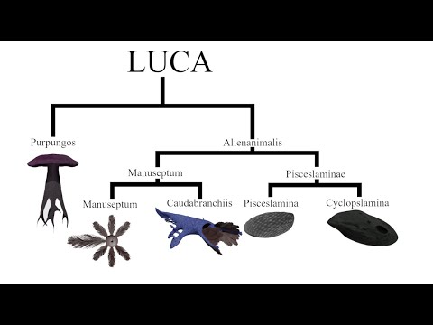 Life Around A Red Dwarf S1E1 - Emergence On Nusku