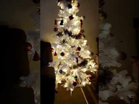 Merry Christmas 🎄 🌟 🎁 #christmas