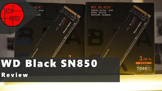 Welche SSD ist die beste? WD Black SN850 Review