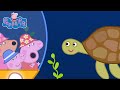 Peppa Pig Full Episodes The Great Barrier Reef Cartoons For Children