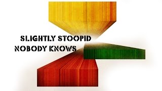 Slightly Stoopid - Nobody Knows Guitar Lesson