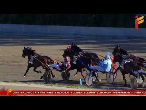 III corsa del 15 febbraio 2023 - 5 anni ed oltre Cat.G - Metri 2000