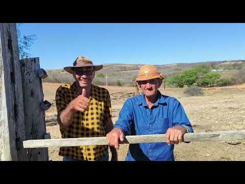 MÚSICA SOMOS NORDESTINOS COM IMAGENS DA FAZENDA URUGUAI EM SERRITA PERNAMBUCO.