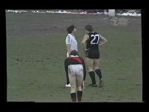Carlton v Essendon Princes Park 1981