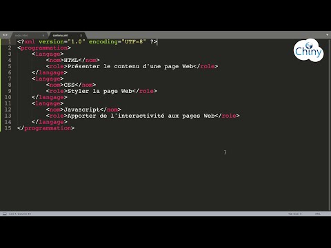 Short video Programmation Orientée Objet POO