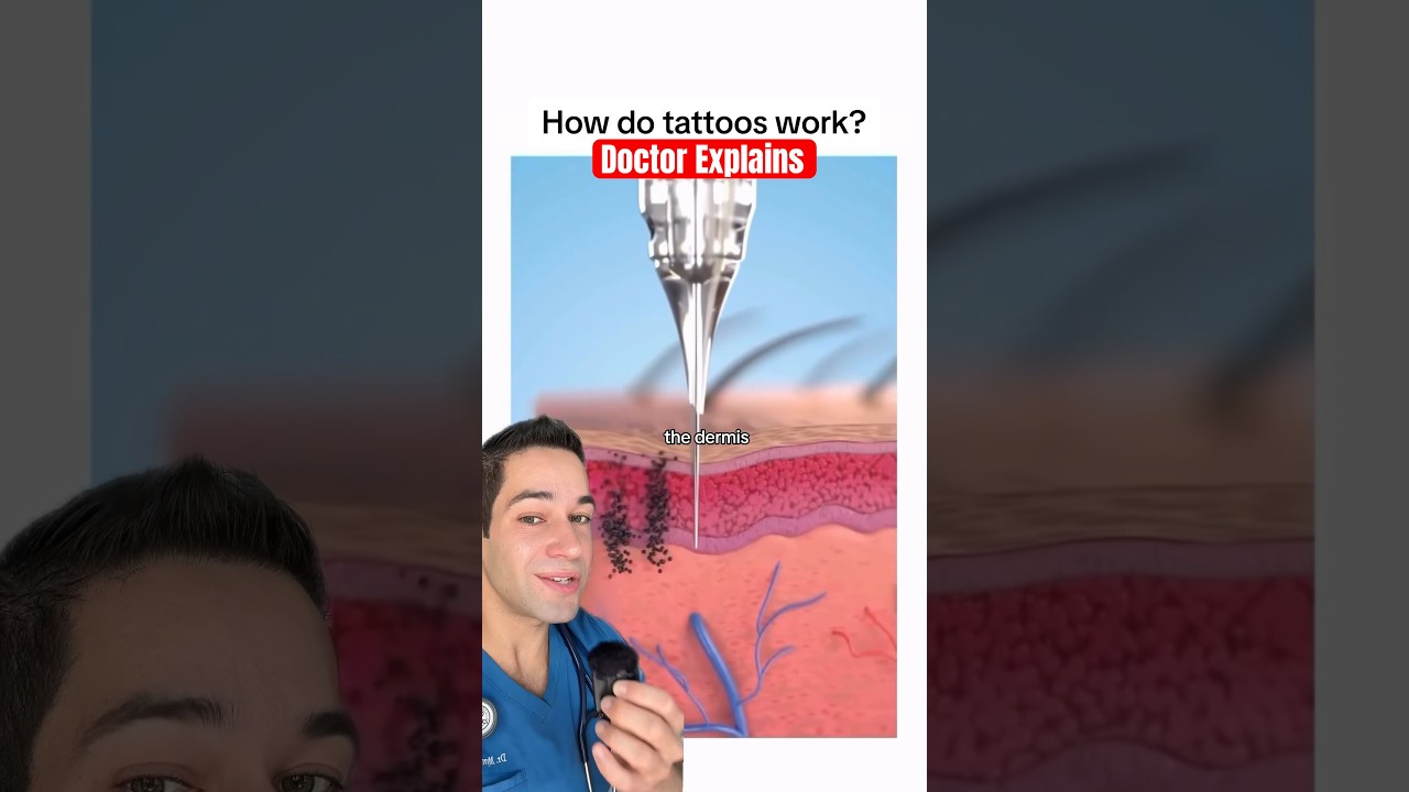 Doctor Explains: the science of tattoos