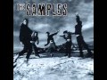 The Samples-Could It Be Another Change 