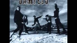 The Samples-Could It Be Another Change