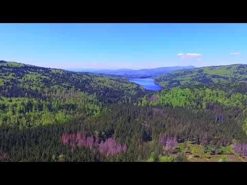 Unterwegs in Ferienregion Nationalpark Bayerischer Wald Frauenau