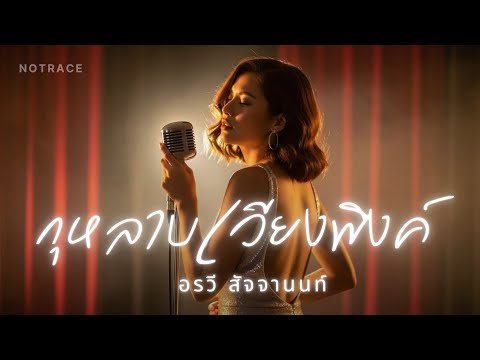 กุหลาบเวียงพิงค์ - อรวี สัจจานนท์ JAZZ Cover By [ NOTRACE Studio717 ]