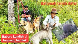 Download lagu Baburu babi di nagari tanjuang barulak batipuah tanah datar mp3 Download lagu Baburu babi di nagari tanjuang barulak batipuah tanah datar mp3