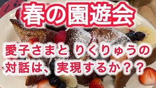 春の園遊会　愛子さまと  りくりゅうの対話は、実現するか ? ?