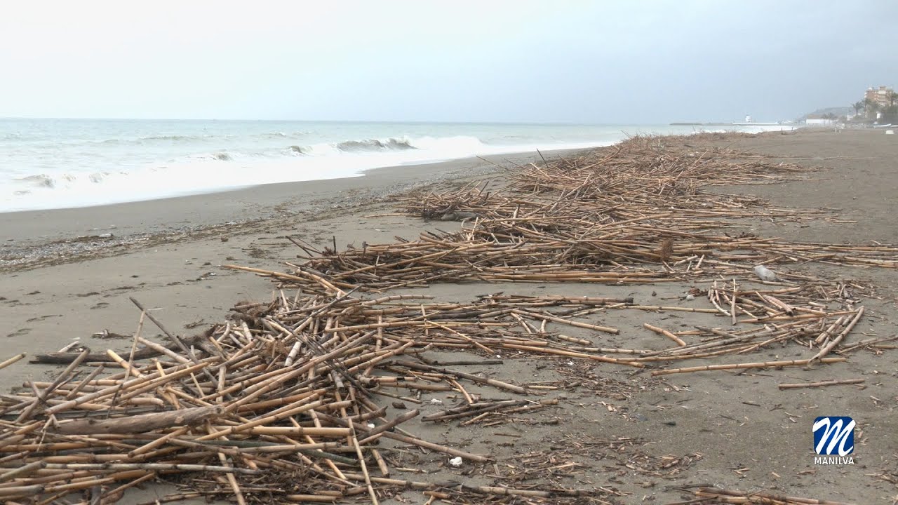 Playas trabaja en la retirada de cañas tras el temporal