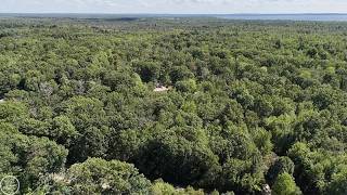 00 Lansing, Roscommon, MI - 50217783