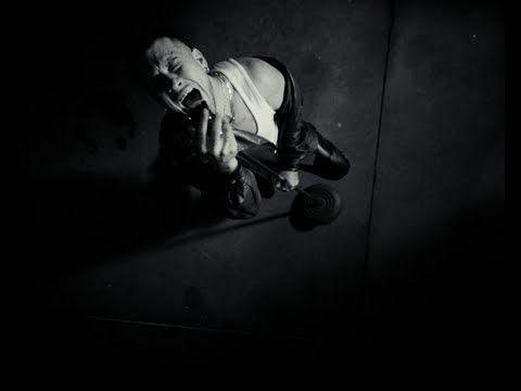 BIHOTZA - Hoy volví a beber