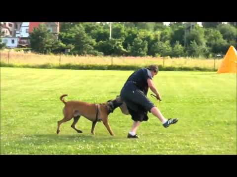 Xerro Malidaj   defence  Summer 2011   DUX