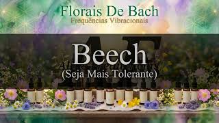 Beech (Seja Mais Tolerante) [Floral de Bach #03] | Canal: Altas Frequências