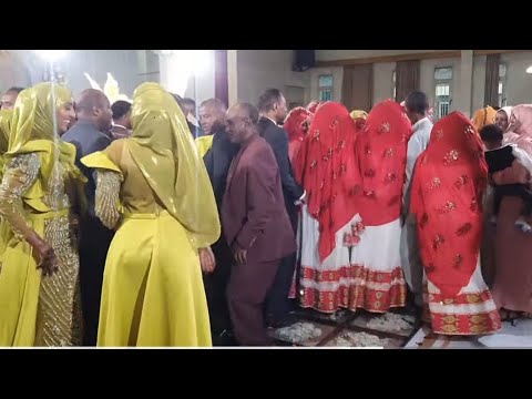 #ኣቲ#ዕምበባ#ዕረ ዝገርም መርዓ ሰለኽለኻን ሽረን #ብድምፃዊ ተስፋኣለም ወዲ ተዛረ )Tesfalem tezare wedi tezare