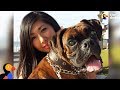 Blind Dog Shows Parents That Nothing Can Stop Him From Being Happy The Dodo