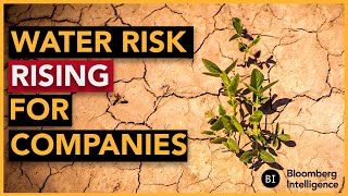 Water Is Rising to $70 Trillion Risk for Companies: BI Deep Dive