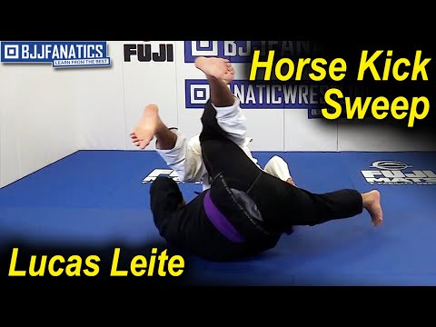 Horse Kick Sweep by Lucas Leite