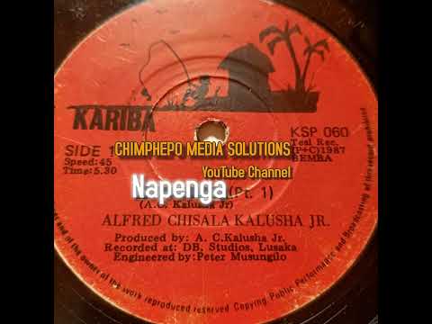 NAPENGA  - ALFRED CHISALA KALUSHA JR  _ SAMPLE