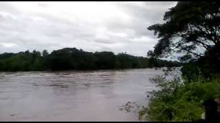 preview picture of video 'Sokanasini River near VIlayodi Bridge'