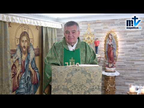 "Comulgar en Pecado es Sacrilegio" | Homilía, XXVIII Domingo del Tiempo Ordinario (11-10-2026) | P. Santiago Martín, FM