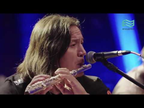 Bruno Arias  Ave de Luz  Encuentro en la Cupula