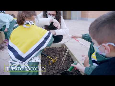 Colegio Nueva Castilla