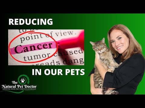 Preventing Cancer in Dogs and Cats - ( Top 3 Tips ) with Dr. Katie Woodley - The Natural Pet Doctor