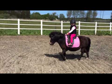 Hailey hoppar en bana