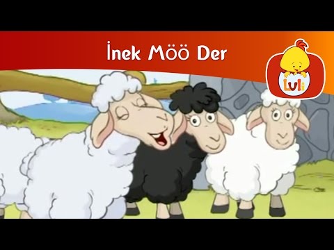 İnek Möö Der - Koyun, Luli TV