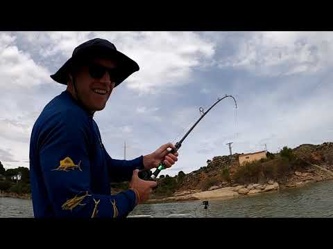 Rio Ebro 2022 - European Catfish Fishing