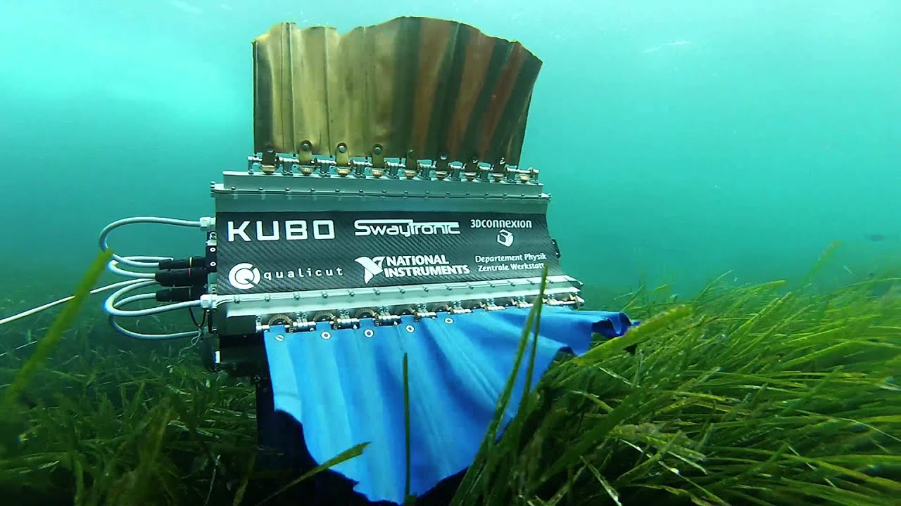 Швейцарские студенты создали робота-рыбу для подводной съемки. Фото.
