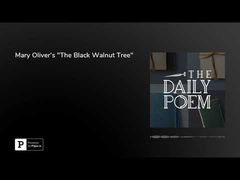 download lagu mp3 mp4 The Black Walnut Tree Mary Oliver, download lagu The Black Walnut Tree Mary Oliver gratis, unduh video klip Download The Black Walnut Tree Mary Oliver Mp3 dan Mp4 Music Online Gratis