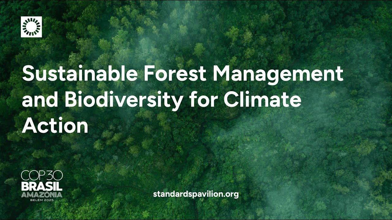 COP30 - Sustainable Forest Management and Biodiversity for Climate Action