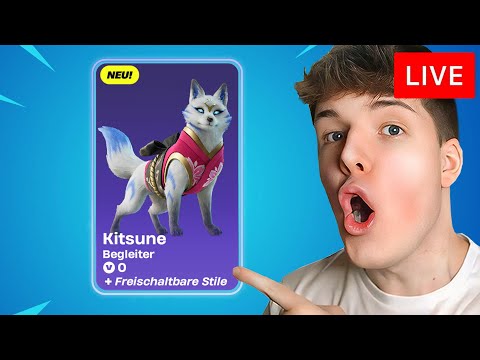 🔴 LIVE: DER KOSTENLOSE FORTNITE BEGLEITER IST DA (OMG)!😱 - COMMUNITY / CUSTOM GAMES!😍 | Addi LIVE