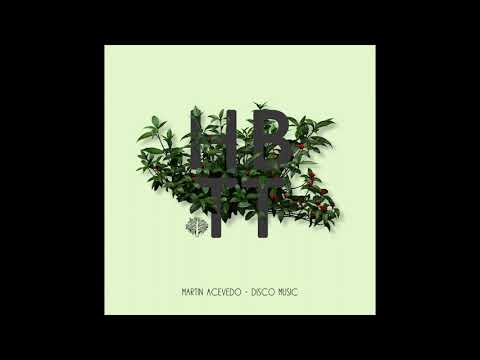 Martin Acevedo - Disco Music (Original Mix)