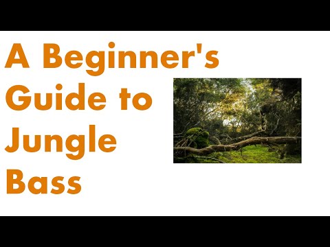 A Beginner's Guide to Jungle Bass
