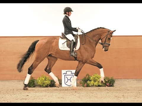 103 | Calif v. Casall - Clearway