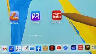Kobo App Notes on iPad