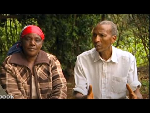 Shamba Shape Up Series 1 - Ep 7: Napier Grass, Growing Vegetables, Cow Care (English)